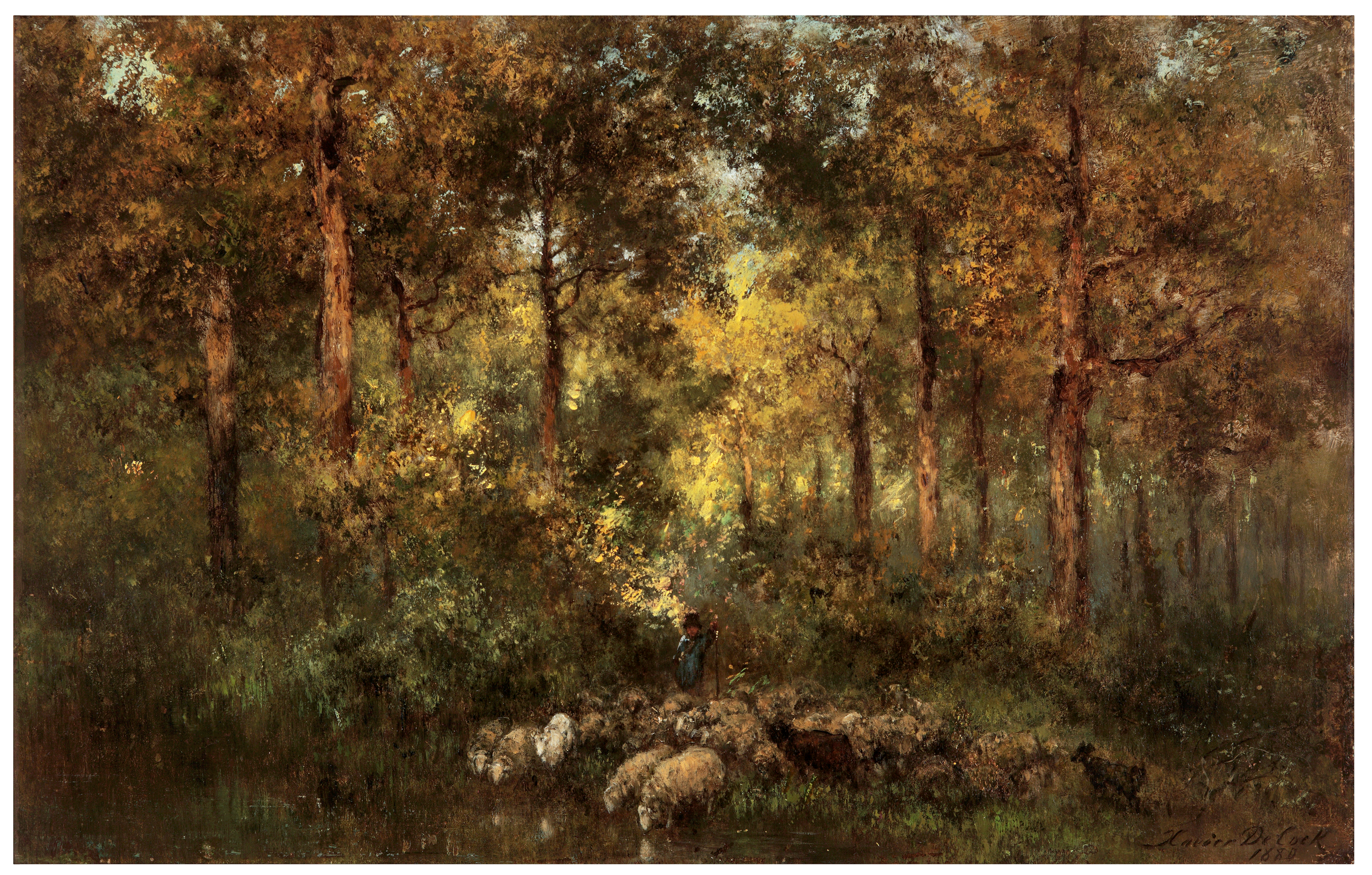 Forest